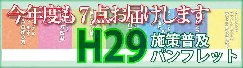 H29施策普及パンフレット発刊です